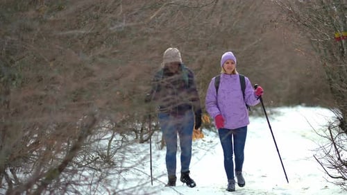 Two multiracial women friends walking with nordic walking poles on a snowy path
