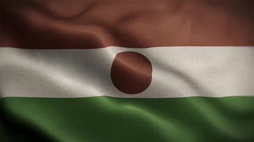Niger Flag Waving Seamless Loop Animation