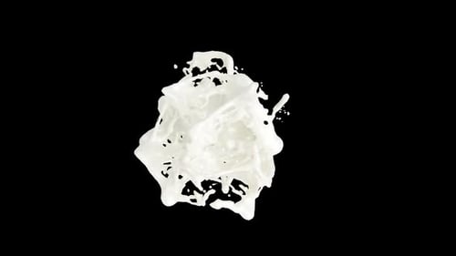 Milk