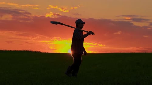 Worker in Agricultural Field Rural Landscape Dramatic Sky Background Vibrant Colors