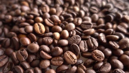 Close up of seeds of coffee 07