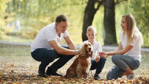 Cheerful young family have a rest in autumn park together and petting dog