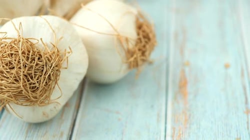 Close Up Pf Garlic on White Background