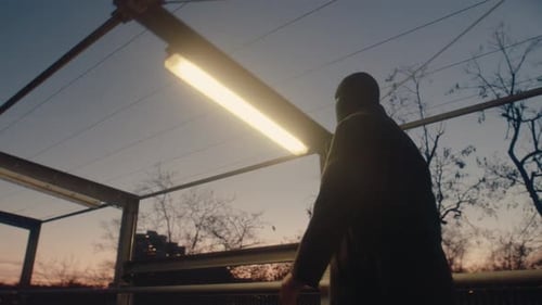 Criminal at Night