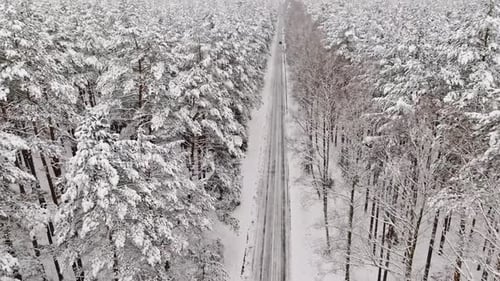 Asphalt road and snow-covered forest in winter, Poland.
