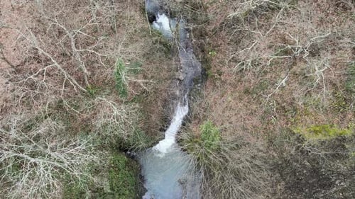 Waterfall Among Trees Autumn