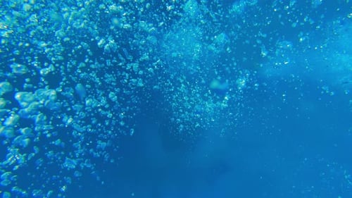 Oxygen Bubbles Under The Sea