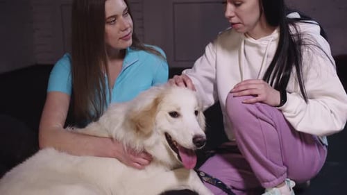 Two Women Petting a Large White Dog