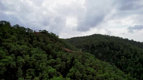 Cinematic Drone Flight Over Forest Nature Fethiye Turkiye
