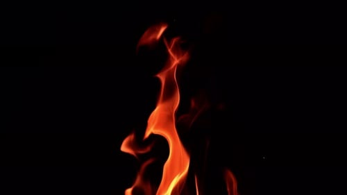 Tanzende Feuerflamme in der Nacht. Faszinierende lodernde Zungen auf schwarzem Hintergrund. Nahaufnahme.