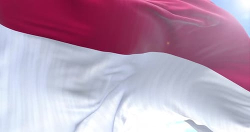 Waving Realistic Fabric Flag Animation