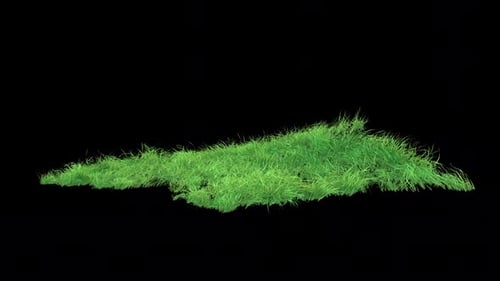 Grass Wind Loop on Alpha