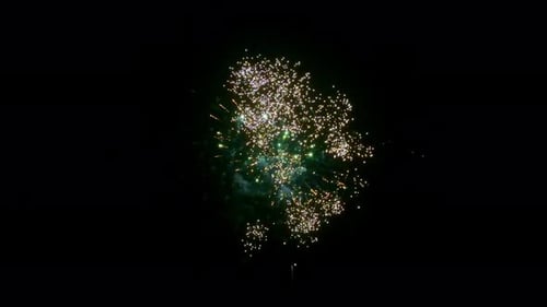 Fireworks Exploding at Night in Celebration