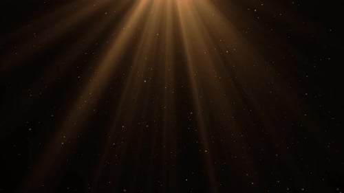 Golden Light Rays Dust Particles Animated Background