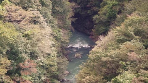 River Stream Flowing On Rocks Between Dense Autumnal Foliage In Wilderness Near Town Of Okutama, Jap