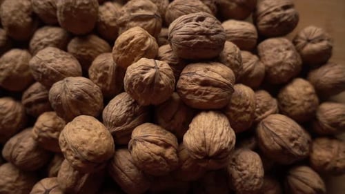 Walnuts. Camera slowly moves up to show close-up of beautiful walnuts