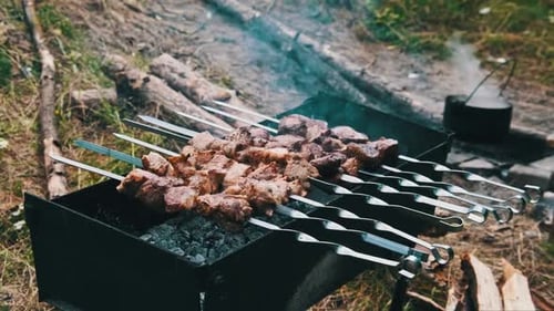Les shish kebabs en brochettes sont cuits au barbecue dans la nature en plein air