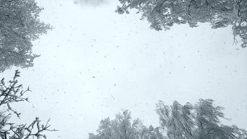 Schneefall