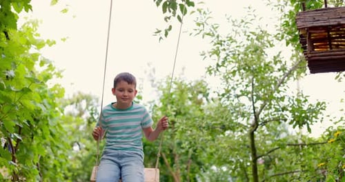 Happy Little Boy Swinging on a Swing in the Garden