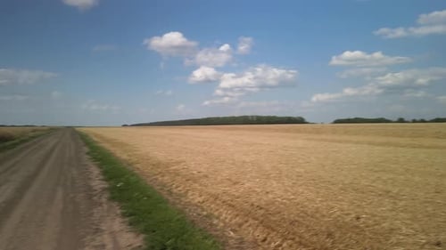 Wheat field aerial view in Ukraine