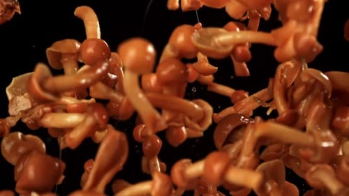 Close Up of Mushrooms Falling on Black Background