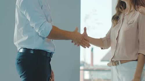 Business Man and Woman Shake Hands Indoors