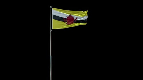 Brunei Flag Waving on a Pole, Seamless Loop