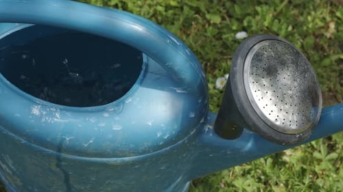 Watering Can Being Filled with Water in Garden