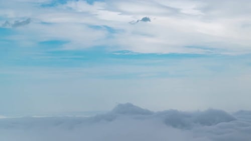 Zeitraffer im Nebelwald im Tatra-Gebirge, Sommertag