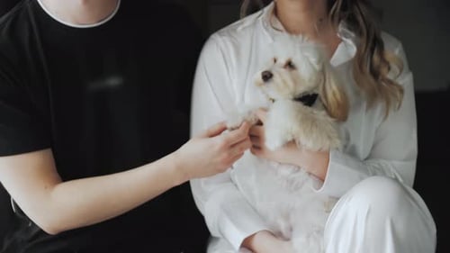 Couple with Small Dog in Indoor Setting