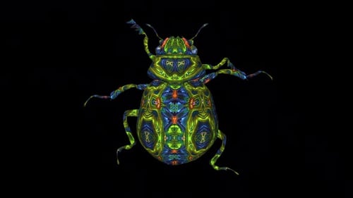 Fantasy Scarab Beetle - Walking Loop - Top Close Up View - Alpha Channel