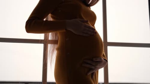 Pregnant Woman Gently Cradling Stomach Indoors
