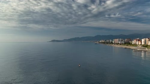 Sea Man Sup Top Down View on Athlete Man Swimming in Sea and Paddleboarding at Summer Sunset