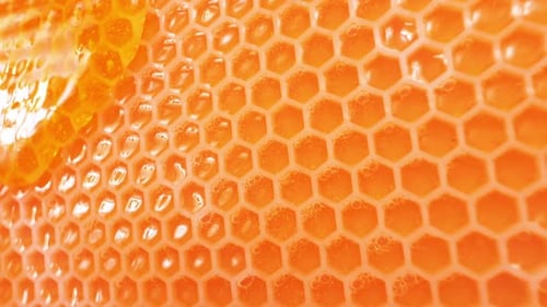 Honeycombs and Honey