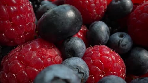 Fresh Berries Close Up: Raspberries, Blueberries, Blackberries