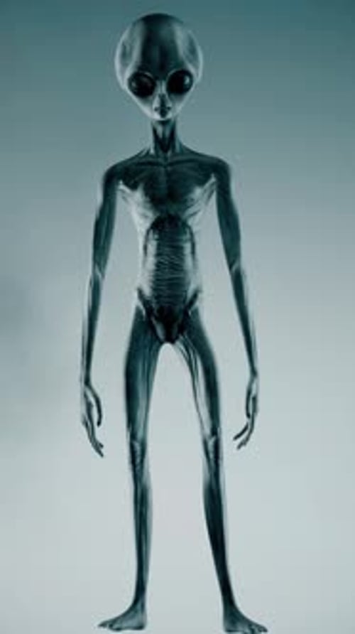 Futuristic Grey Alien Character 3D Render