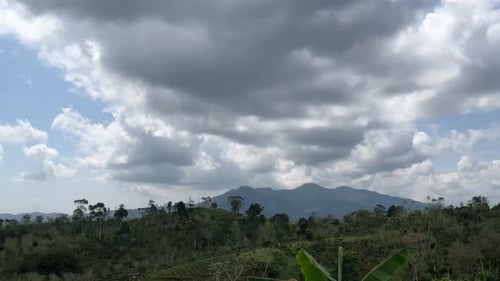 Natur in den Bergen