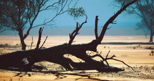 Desolate Landscape with Fallen Tree Trunk Under Bright Blue Sky