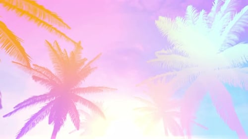 Fond d'été avec palmier