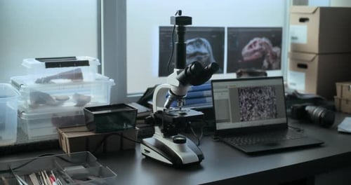 Microscope in Science Lab with Dinosaur Images