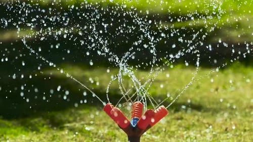 automatic garden watering - irrigation sistem