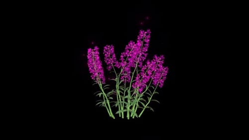 Growing Purple Flowers with Sparkling Particle Animation