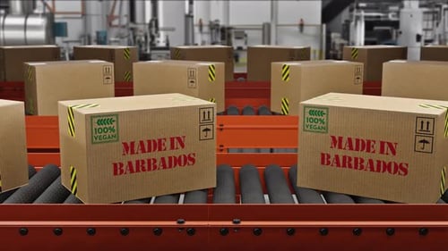 Vegan Food Cargo Boxes Made In Barbados Ext On Roller Conveyor