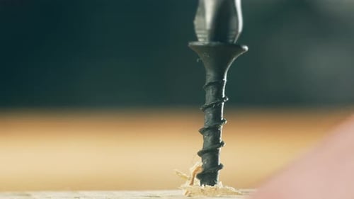 Closeup Black Self Tapping Screw Screwing Into Wood By Man Macro View Hardware Fastener Drilling