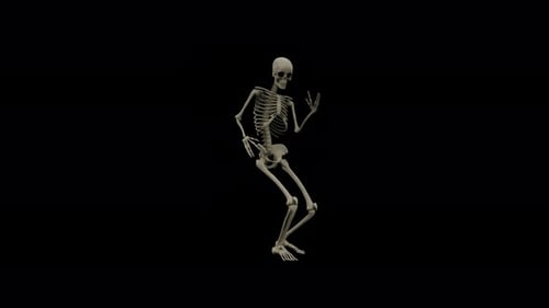 Skeleton Dancing Long Loop With Alpha Channel 17