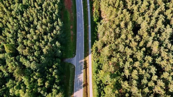 Road running through forest area in daytime under clear sky. , Nature ...