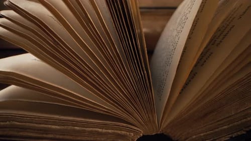 Close Up of an Old Book's Yellowed Pages
