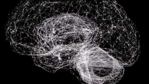Neural Network Brain Formation: Futuristic Scientific Animation