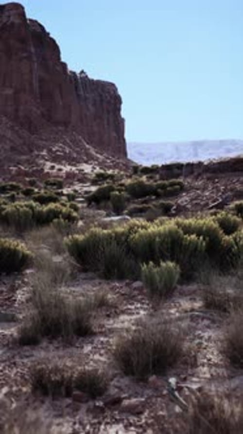 Arid Landscape With Distant Mountain