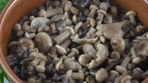 Marinated mushrooms